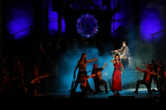 Notre Dame-i toronyőr (5)